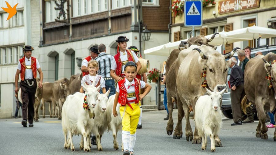 A glimpse of Switzerland's rich traditions and cultural heritage.